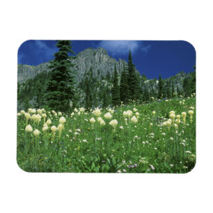 Íman Beargrass no lago Eunice, Mt. Rainier NP, WA,