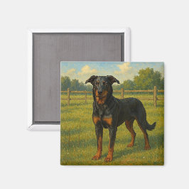 Íman Beauceron