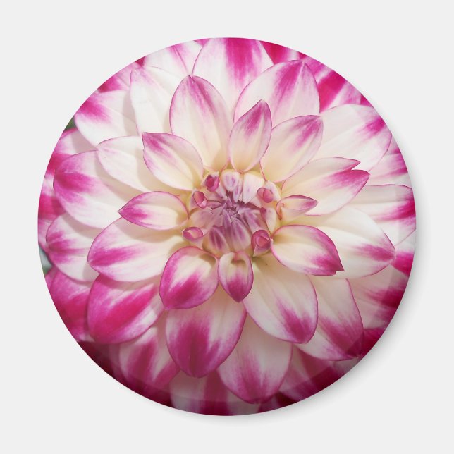 Íman Beaux (Frente)