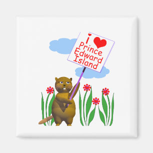 Íman Beaver Canadense ama Ilha Prince Edward