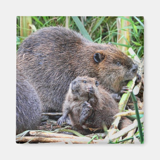 Íman Beaver e Foto da Família