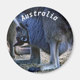 Íman Bebê canguru na bolsa da mãe - Austrália