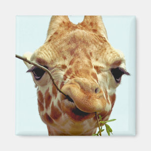 Íman bebê engraçado do girafa