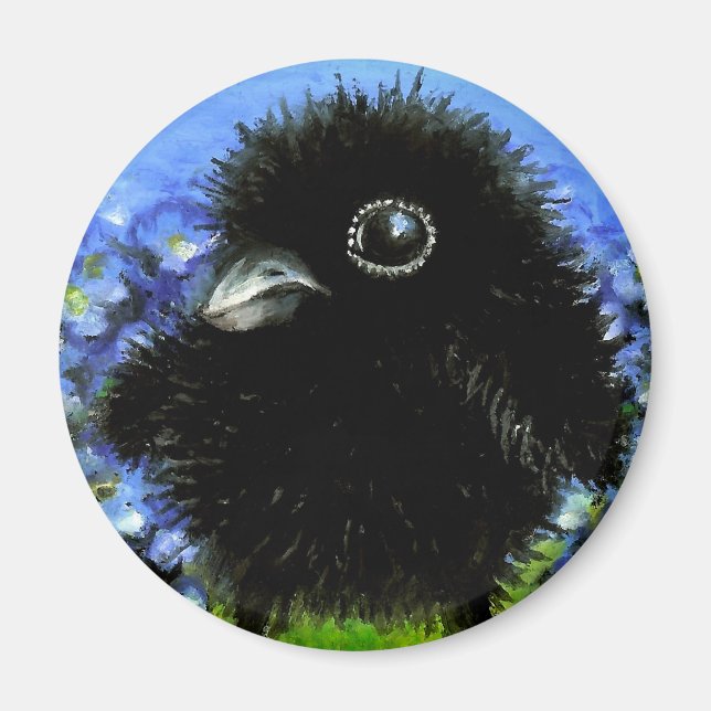 Íman Bebê raven (Frente)