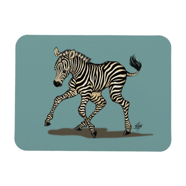 Íman Bebê zebra sobre fundo azul (Horizontal)