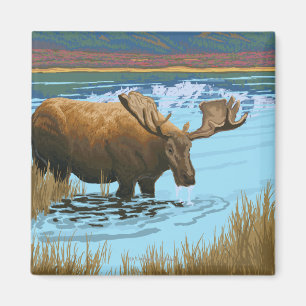 Íman Bebendo dos alces nacional no lago - Yellowstone