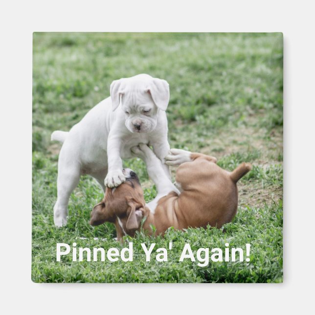 Íman Bebês Boxers (Frente)