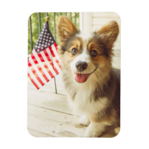 Íman Bebês Mais Pobres   American Flag Corgi
