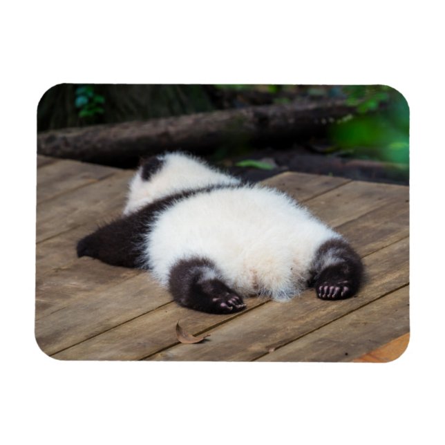 Íman Bebês Mais Pobres | Bebê Giant Panda Dormindo (Horizontal)