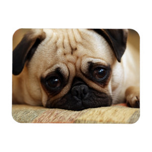 Íman Bebês Mais Pobres Bebê Pug Puppy