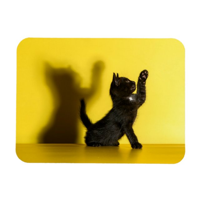 Íman Bebês Mais Pobres | Brinquedo preto (Horizontal)