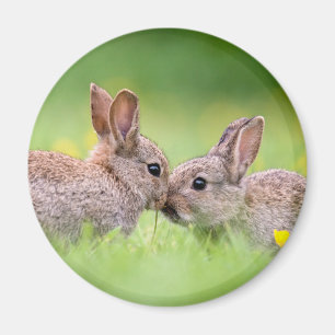 Íman Bebês Mais Pobres Bunny Kiss