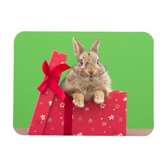 Íman Bebês Mais Pobres | Bunny Natal (Horizontal)