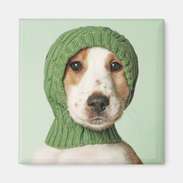 Íman Bebês Mais Pobres | Cocker Spaniel Puppy (Frente)