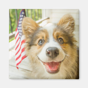 Íman Bebês Mais Pobres Corgi Puppy Patriótico