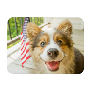 Íman Bebês Mais Pobres Corgi Puppy Patriótico