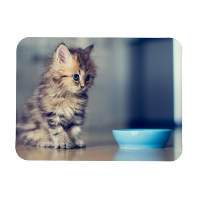 Íman Bebês Mais Pobres | Cristina Persa De Olho Azul (Horizontal)