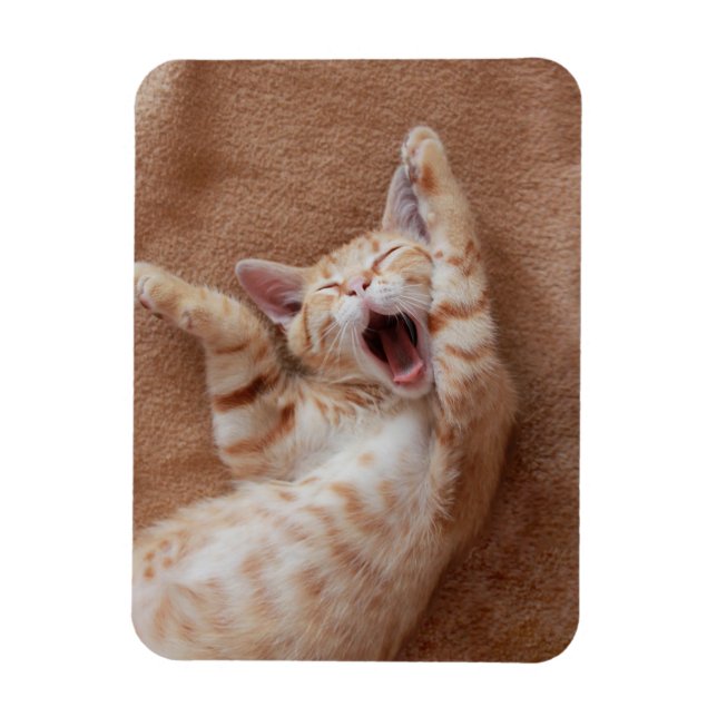 Íman Bebês Mais Pobres | Ginger Kitten Yawning (Vertical)