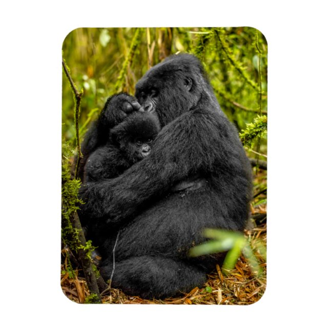 Íman Bebês Mais Pobres | Gorilla & Baby (Vertical)
