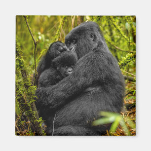 Íman Bebês Mais Pobres Gorilla & Baby