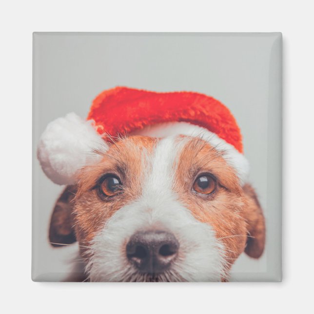 Íman Bebês Mais Pobres | Jack Russell Dog Santa Claus (Frente)