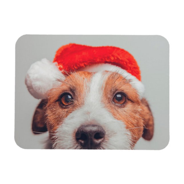 Íman Bebês Mais Pobres | Jack Russell Dog Santa Claus (Horizontal)