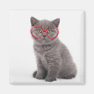 Íman Bebês Mais Pobres | Óculos de coração de Kitten