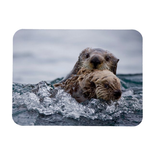 Íman Bebês Mais Pobres | Outro Bebê e mãe (Horizontal)