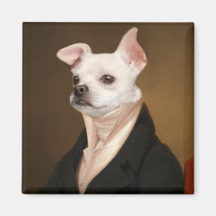 Íman Bebês Mais Pobres   Royal Chihuahua Portrait