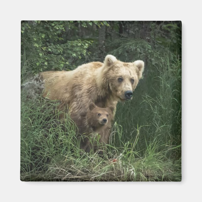 Íman Bebês Mais Pobres | Urso-Da-Mama E Cubos (Frente)