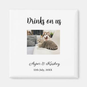 Íman Bebidas por nossa conta bar aberto foto de animal 