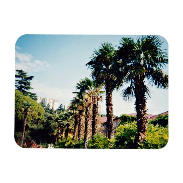 Íman Beco de Palma do Jardim Botânico de Nikitsky na (Horizontal)