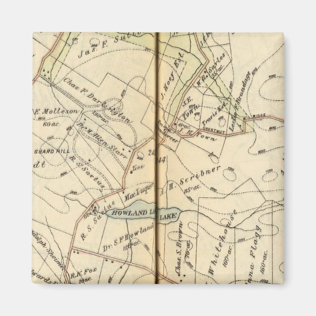 Íman Bedford, Nova Iorque (Frente)