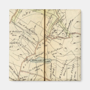 Íman Bedford, Nova York