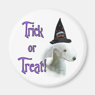 Íman Bedlington Terrier Trick