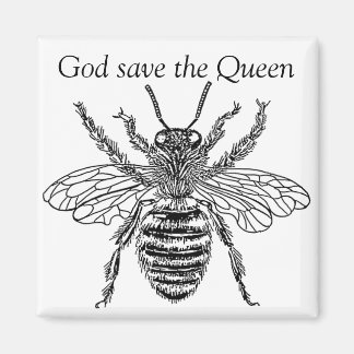 Íman bee buzzart queen