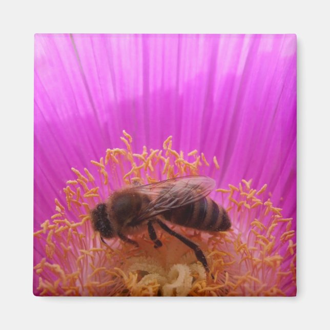 Íman Bee Magnet (Frente)