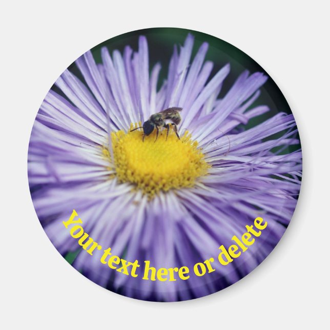 Íman Bee On Purple Daisy Flower Personalized (Frente)