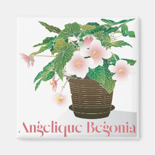 Íman Begônia Magnet