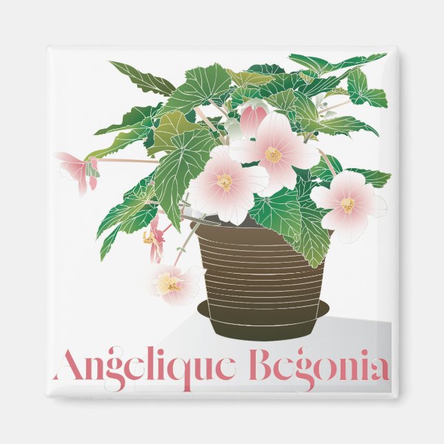 Íman Begônia Magnet (Frente)