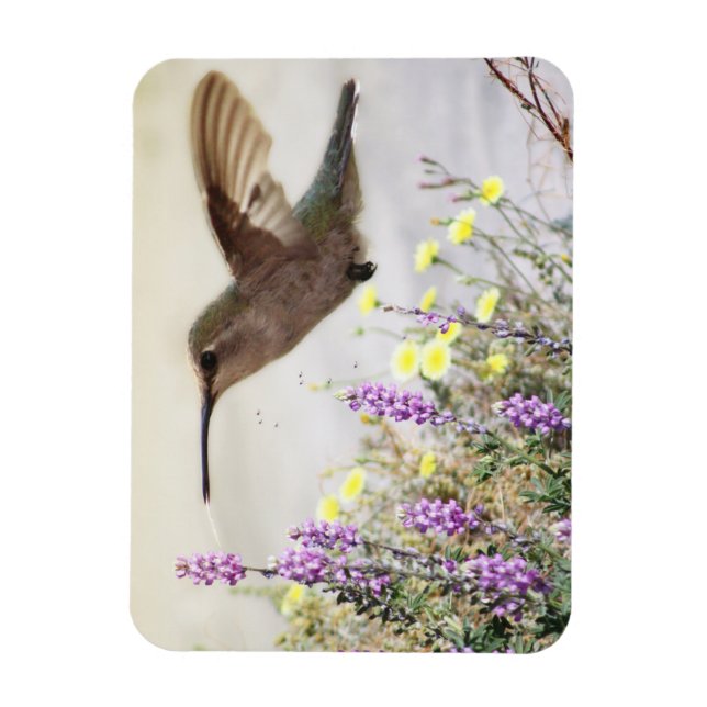 Íman Beija-flor e Flores Silvestres Arte Digital  (Vertical)