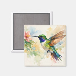 Íman Beija-flor em Aquarela
