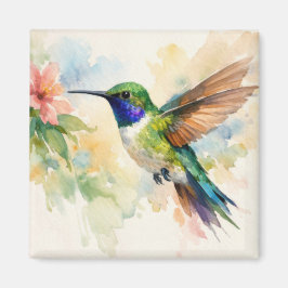 Íman Beija-flor em Aquarela