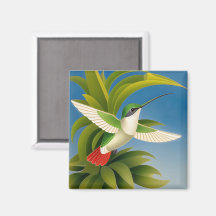 Beija-flor Moderno