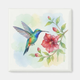 Íman Beija-flor Pequeno Aquarela
