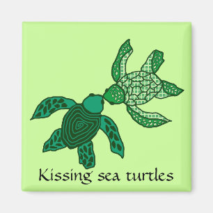 Íman Beijando o ímã das tartarugas de mar