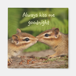 Íman Beijando o ímã dos Chipmunks