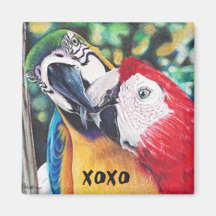 Íman beijando o ímã dos macaws