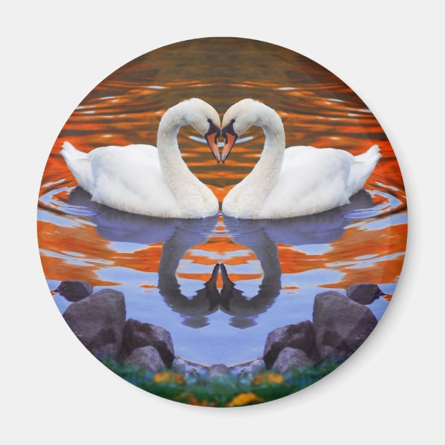 Íman Beijar Cisnes no Amor, Pescoços em Forma de Coraçã (Frente)