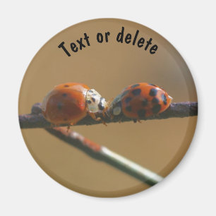Íman Beijar Ladybugs Natureza Personalizada